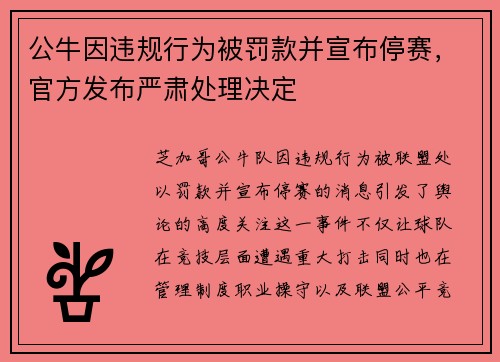 公牛因违规行为被罚款并宣布停赛，官方发布严肃处理决定