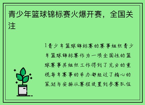 青少年篮球锦标赛火爆开赛，全国关注